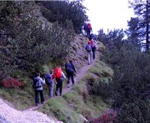 sentiero 583 del Larsec